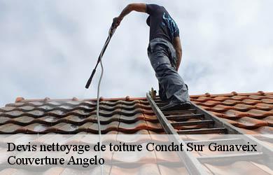 Devis nettoyage de toiture  condat-sur-ganaveix-19140 Couverture Angelo 