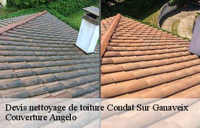 Devis nettoyage de toiture condat-sur-ganaveix-19140 Couverture Angelo