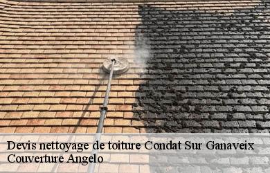 Devis nettoyage de toiture condat-sur-ganaveix-19140 Couverture Angelo