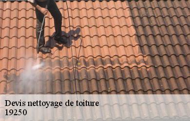 Devis nettoyage de toiture  davignac-19250 Couverture Angelo 