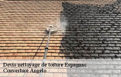 Devis nettoyage de toiture  espagnac-19150 Couverture Angelo 
