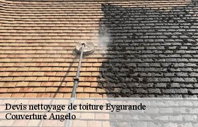 Devis nettoyage de toiture  eygurande-19340 Couverture Angelo 