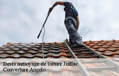 Devis nettoyage de toiture  juillac-19350 Couverture Angelo 