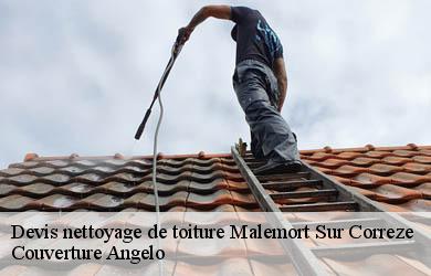 Devis nettoyage de toiture malemort-sur-correze-19360 Couverture Angelo