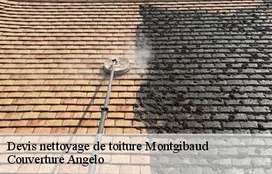 Devis nettoyage de toiture  montgibaud-19210 Couverture Angelo 