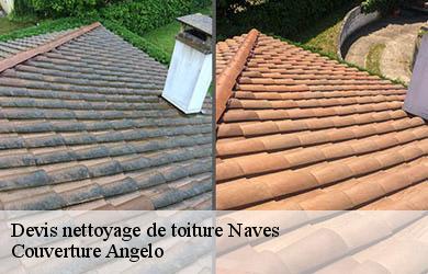 Devis nettoyage de toiture  naves-19460 Couverture Angelo 
