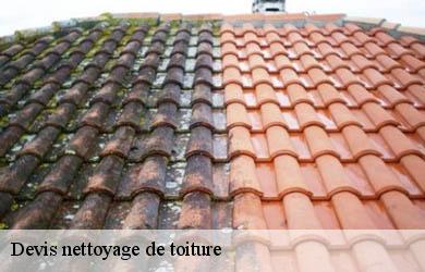 Devis nettoyage de toiture  pandrignes-19150 Couverture Angelo 