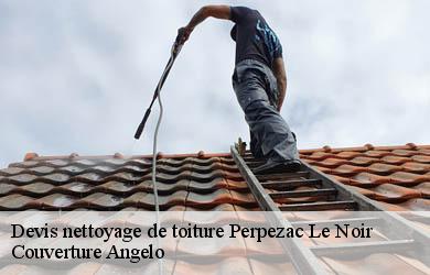 Devis nettoyage de toiture  perpezac-le-noir-19410 Couverture Angelo 
