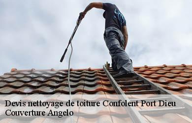 Devis nettoyage de toiture  confolent-port-dieu-19200 Couverture Angelo 
