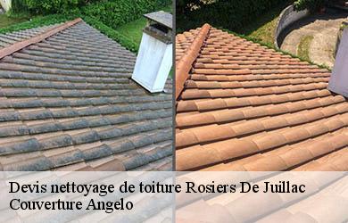 Devis nettoyage de toiture  rosiers-de-juillac-19350 Couverture Angelo 