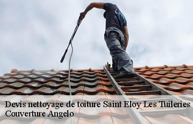 Devis nettoyage de toiture saint-eloy-les-tuileries-19210 Couverture Angelo