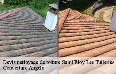 Devis nettoyage de toiture saint-eloy-les-tuileries-19210 Couverture Angelo
