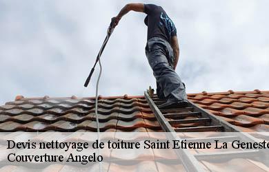Devis nettoyage de toiture  saint-etienne-la-geneste-19160 Couverture Angelo 