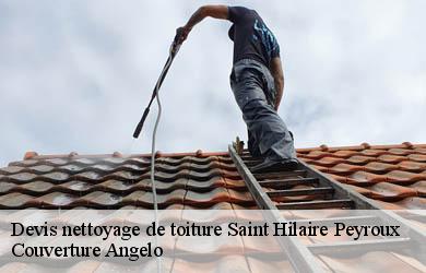 Devis nettoyage de toiture saint-hilaire-peyroux-19560 Couverture Angelo