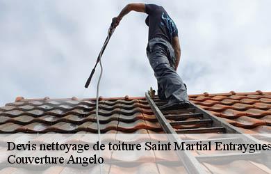 Devis nettoyage de toiture saint-martial-entraygues-19400 Couverture Angelo
