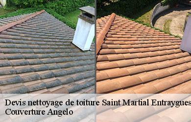 Devis nettoyage de toiture saint-martial-entraygues-19400 Couverture Angelo