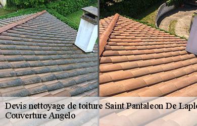 Devis nettoyage de toiture  saint-pantaleon-de-lapleau-19160 Couverture Angelo 