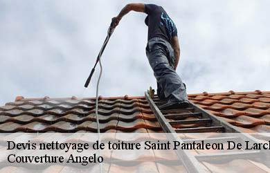 Devis nettoyage de toiture saint-pantaleon-de-larche-19600 Couverture Angelo