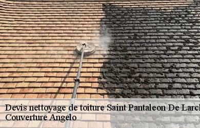 Devis nettoyage de toiture  saint-pantaleon-de-larche-19600 Couverture Angelo 