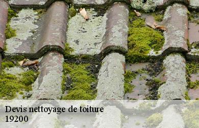 Devis nettoyage de toiture  saint-pardoux-le-neuf-19200 Couverture Angelo 