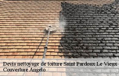 Devis nettoyage de toiture saint-pardoux-le-vieux-19200 Couverture Angelo