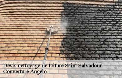 Devis nettoyage de toiture  saint-salvadour-19700 Couverture Angelo 