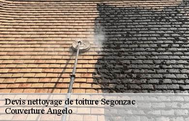 Devis nettoyage de toiture  segonzac-19310 Couverture Angelo 