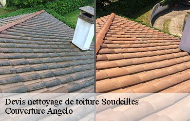 Devis nettoyage de toiture  soudeilles-19300 Couverture Angelo 