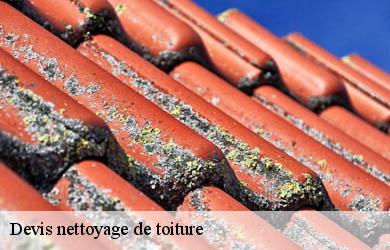Devis nettoyage de toiture  soudeilles-19300 Couverture Angelo 