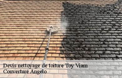 Devis nettoyage de toiture toy-viam-19170 Couverture Angelo