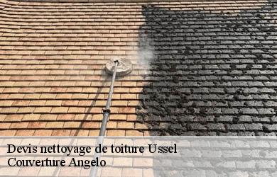 Devis nettoyage de toiture  ussel-19200 Couverture Angelo 