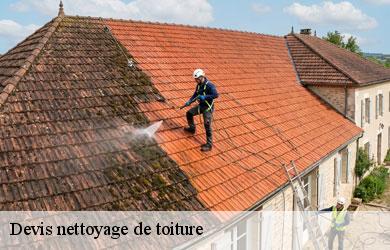 Devis nettoyage de toiture vegennes-19120 Melvin Couverture