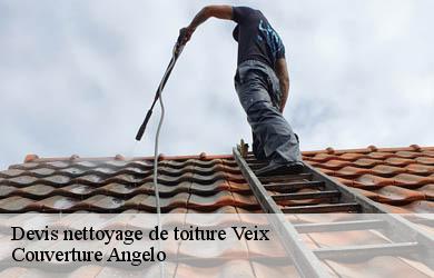 Devis nettoyage de toiture  veix-19260 Couverture Angelo 