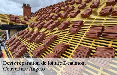 Devis réparation de toiture beaumont-19390 Couverture Angelo