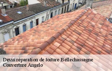 Devis réparation de toiture  bellechassagne-19290 Couverture Angelo 