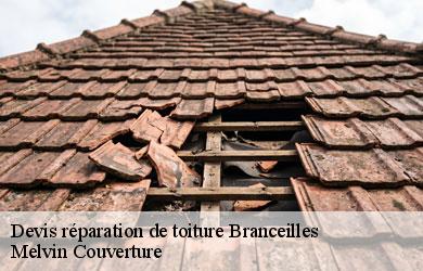 Devis réparation de toiture branceilles-19500 Melvin Couverture