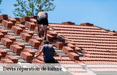 Devis réparation de toiture  couffy-sur-sarsonne-19340 Couverture Angelo 