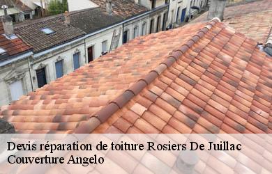 Devis réparation de toiture  rosiers-de-juillac-19350 Couverture Angelo 