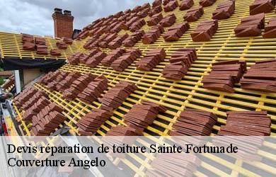 Devis réparation de toiture  sainte-fortunade-19490 Couverture Angelo 