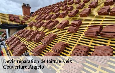 Devis réparation de toiture  veix-19260 Couverture Angelo 