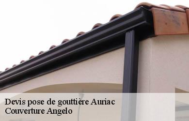 Devis pose de gouttière  auriac-19220 Couverture Angelo 