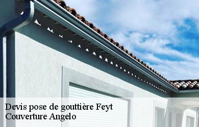 Devis pose de gouttière feyt-19340 Couverture Angelo