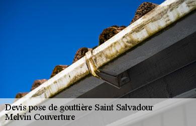 Devis pose de gouttière saint-salvadour-19700 Melvin Couverture
