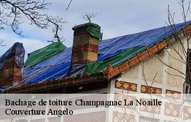 Bachage de toiture  champagnac-la-noaille-19320 Couverture Angelo 