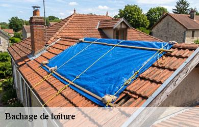 Bachage de toiture courteix-19340 Melvin Couverture