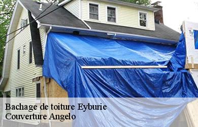 Bachage de toiture eyburie-19140 Couverture Angelo