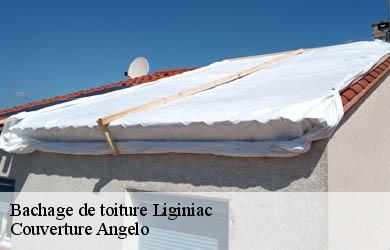 Bachage de toiture  liginiac-19160 Couverture Angelo 