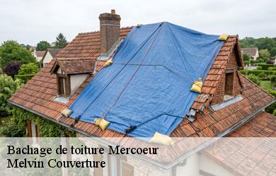 Bachage de toiture  mercoeur-19430 Melvin Couverture