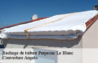 Bachage de toiture  perpezac-le-blanc-19310 Couverture Angelo 