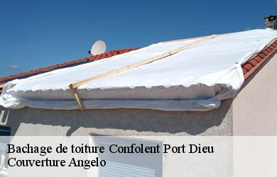Bachage de toiture confolent-port-dieu-19200 Couverture Angelo